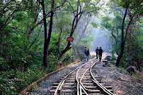 Sanjay Gandhi National Park